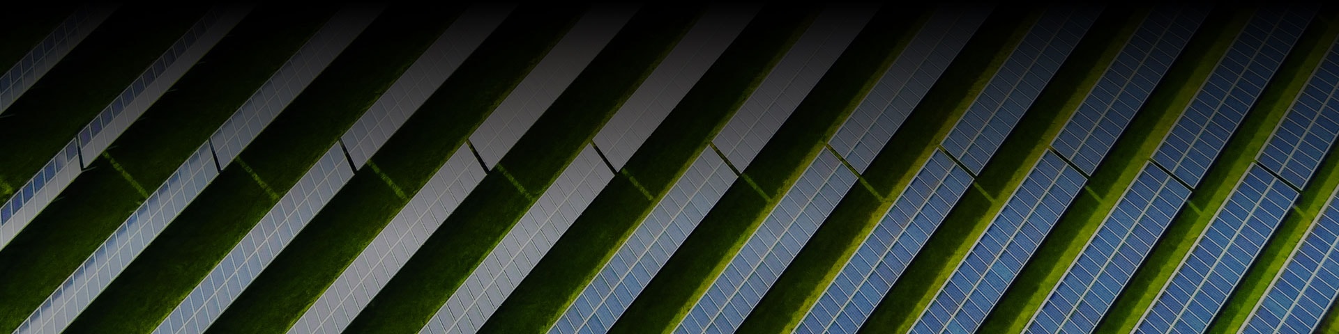 Ariel view of solar panels on solar energy farm